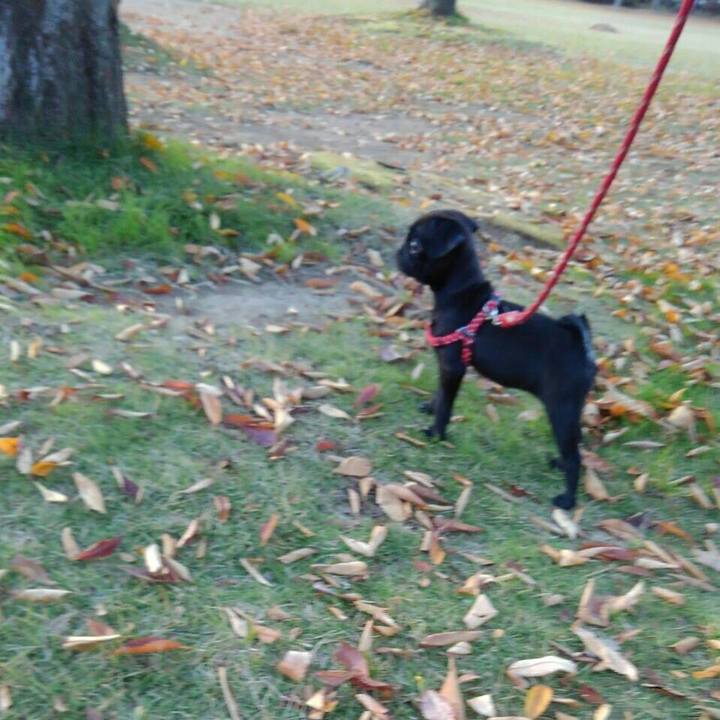 78340d58 88fd 48ee 9333 f2c5bd585250