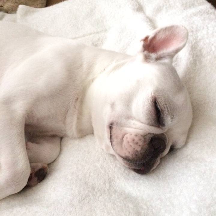 783460cf 6983 496e a09d 633df81e601a