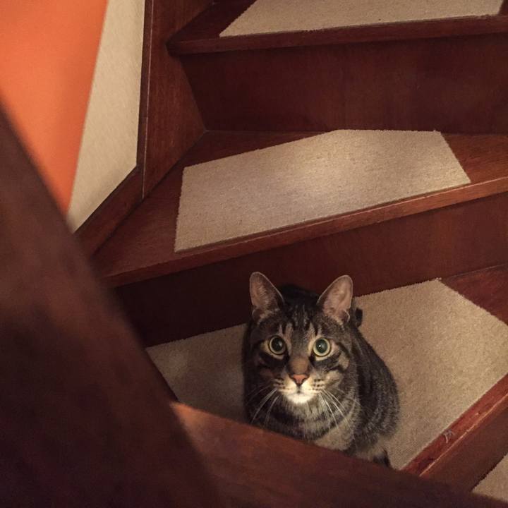 7834c5be 85e9 4ce3 8ec3 9a6508dc95c8