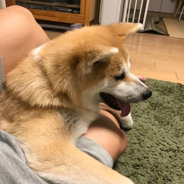 78355351 5298 4b58 a0c3 85aec4146ee4