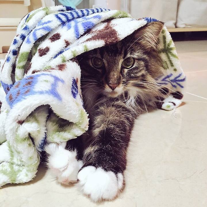 78357b06 d081 486f 9783 f5d43a60fc40