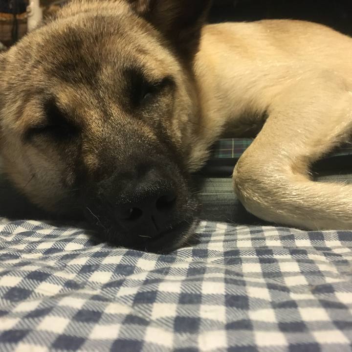 7835d0ca 0bfa 47cb b729 85bddb0d2d1e