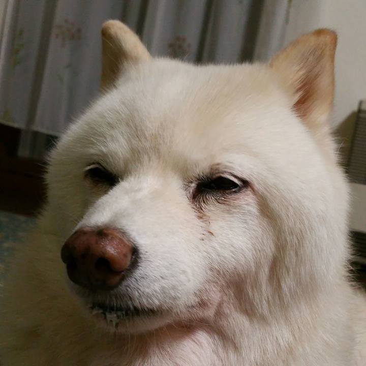 78376afe c916 44a8 aa34 5b3adaea6942