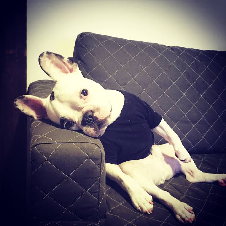 78378ded 95e3 4b7f 9db8 300ea309a05d