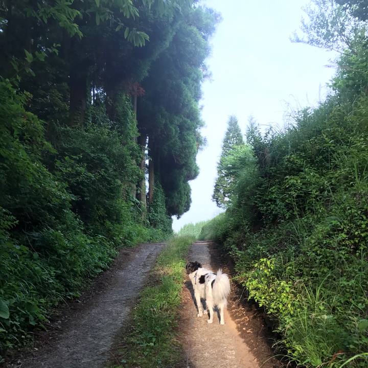 7837971f 7919 4508 ac98 4fbe0903bd9a