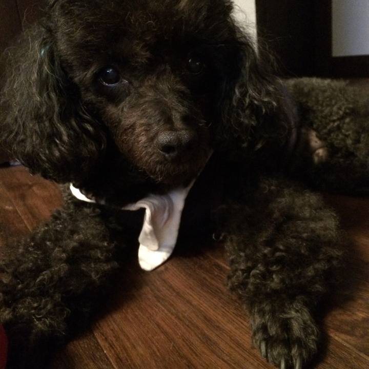 7837c2ea 6a90 4a86 953b 6e5862d9e6ae