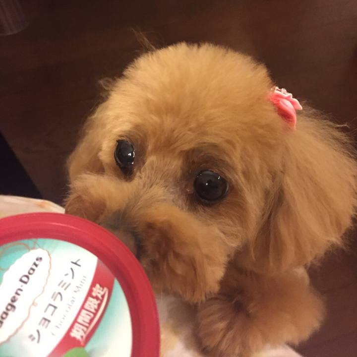 7837d752 0343 46db 8395 501bef4a2e0f