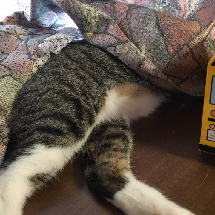 7837f79a d3ff 47b4 ad69 a2626e3e2ef8