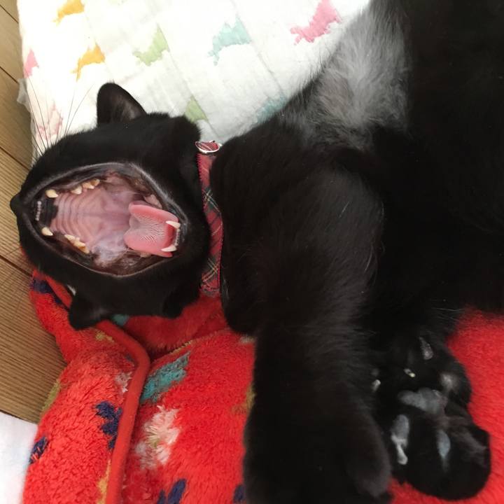 78382019 3b18 4d04 b2a4 b58c987aafda