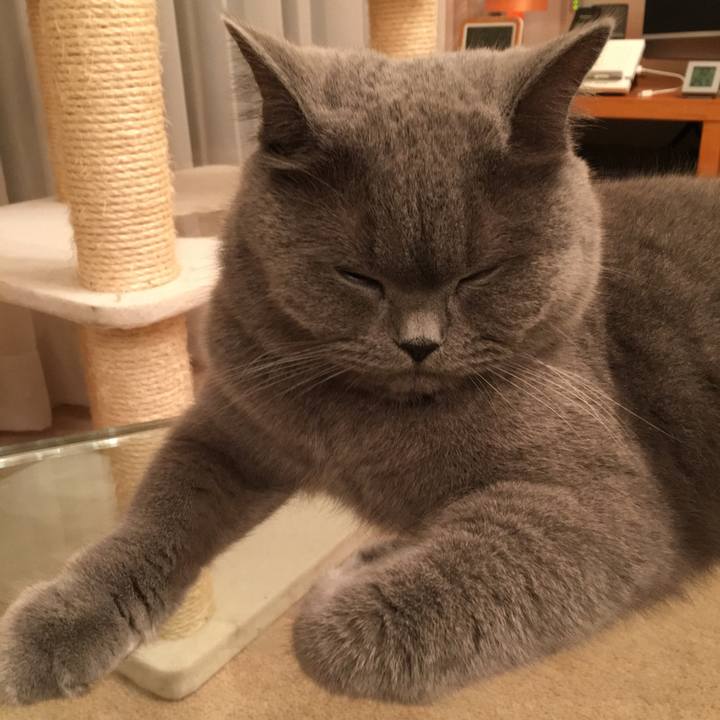 783847cf 40b6 43c7 91fa 2a722a5a3eec