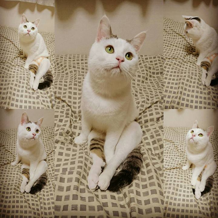 78388add 9866 4872 8c32 ea7cbe730c77