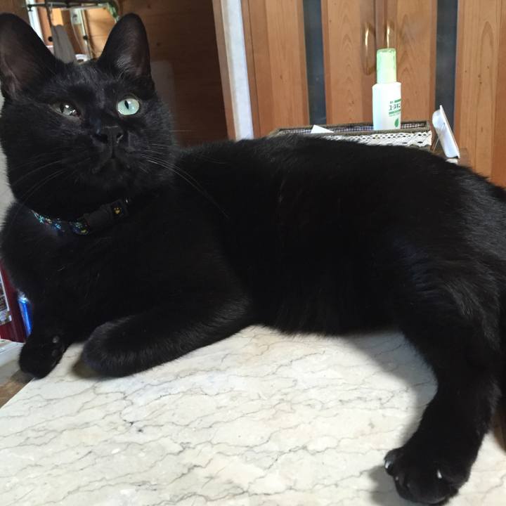 7839bb90 7f1c 4510 8862 412889ee4b53