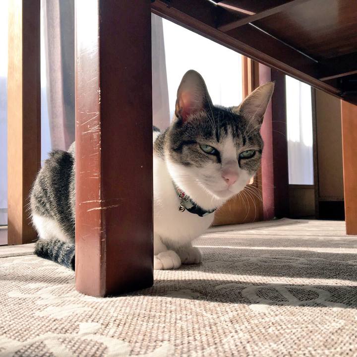 783a26de a0d5 4376 94c5 42a50ce637cd