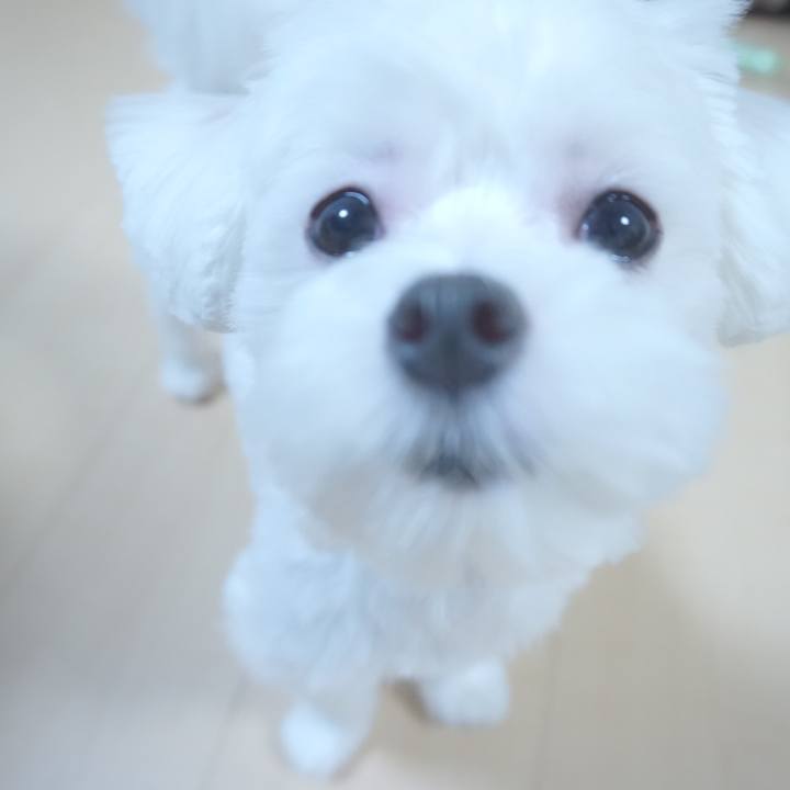 783b2359 a6c5 464a be31 e5dd1fb7bd06