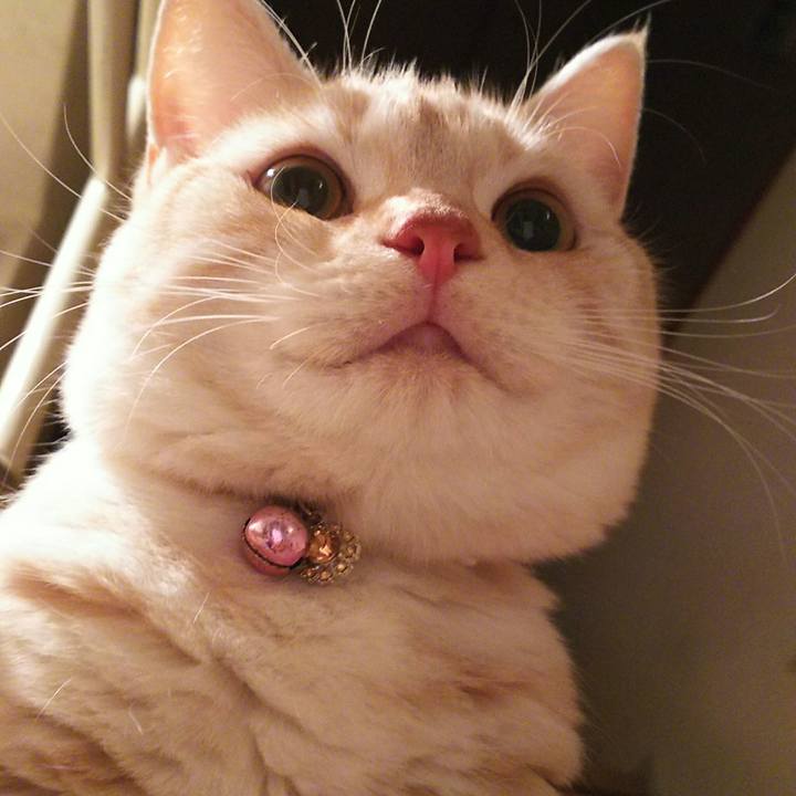 783b9514 0f59 4d4d 8af5 7e0f46ae0cf9