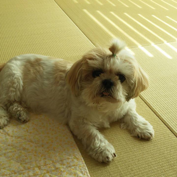 783bac31 e9c3 44fd b739 8ece4717f19f