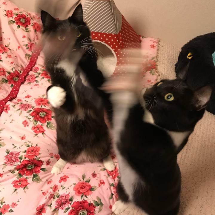 783bc613 a8e5 4ee2 b3f9 9ec464f1ea60