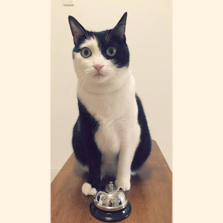 783d29d0 1c6a 46f1 ad05 38dbcfb48316