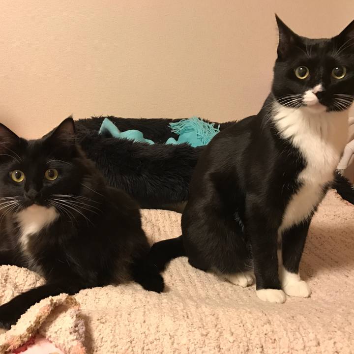 783d29e7 4fa0 47f0 8296 0be5c96c5381