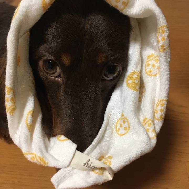 783d2c5e 01d0 4b82 ae02 791ec2e60ab9