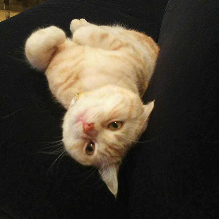 783d3a74 faee 4a50 8aad 473771fbcc8f