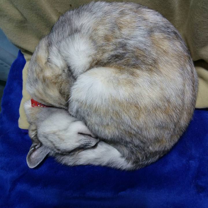 783daad1 bbd5 459c a25d d108896e476a