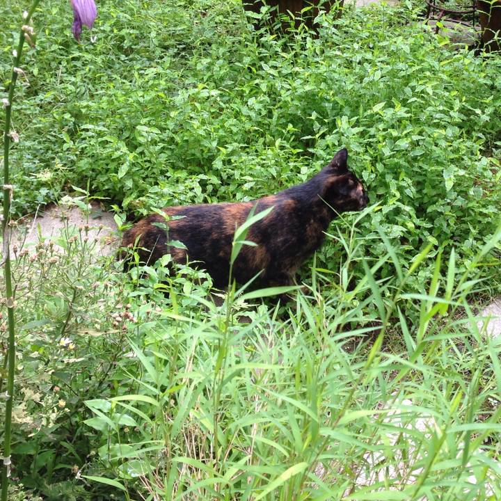 783dcfb8 28c8 4309 b6d0 23f6d83f54dd