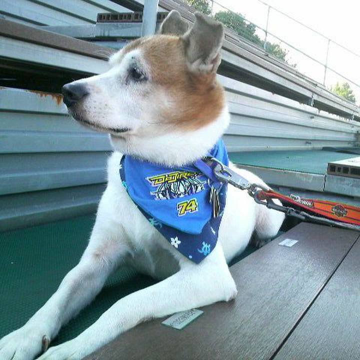 783dd34a c754 4471 a93b df0779ee9e55