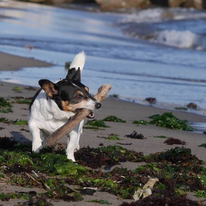 783dfbc8 42c7 48d9 af15 a46711cc2ae7