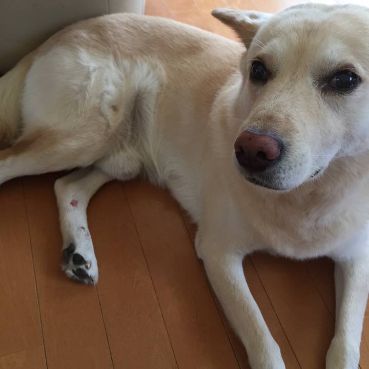 783e3f87 51b6 4797 aa0c ea23d43d70ff