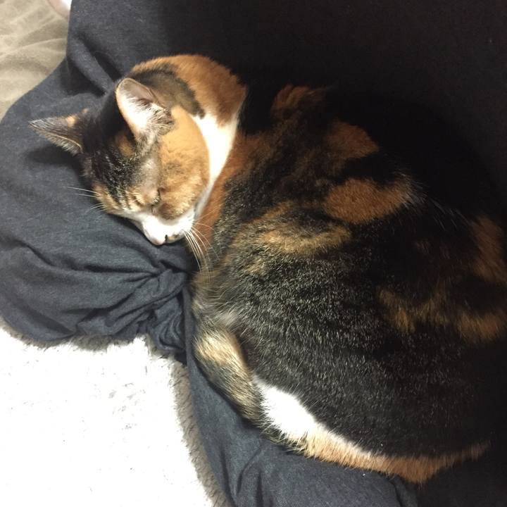 783ea04b 7da7 43f6 96fa 174c863c7476