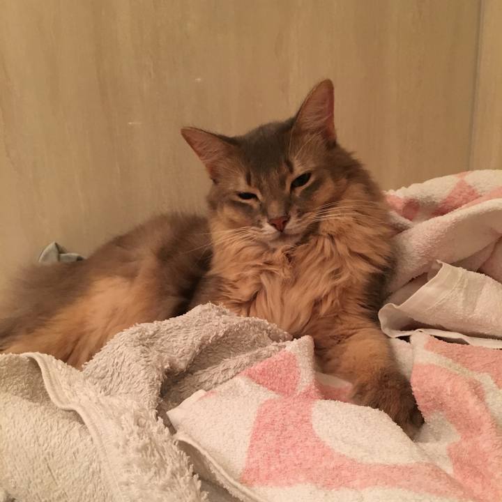 783ec618 6111 4dd1 b45b 953b694f83ad