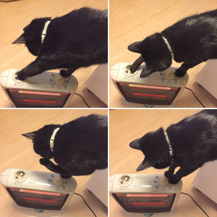 783ed477 371a 4ad2 89d5 16b494d66572