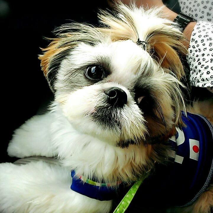 783efc44 934e 4803 9726 1a1bb92dad9a