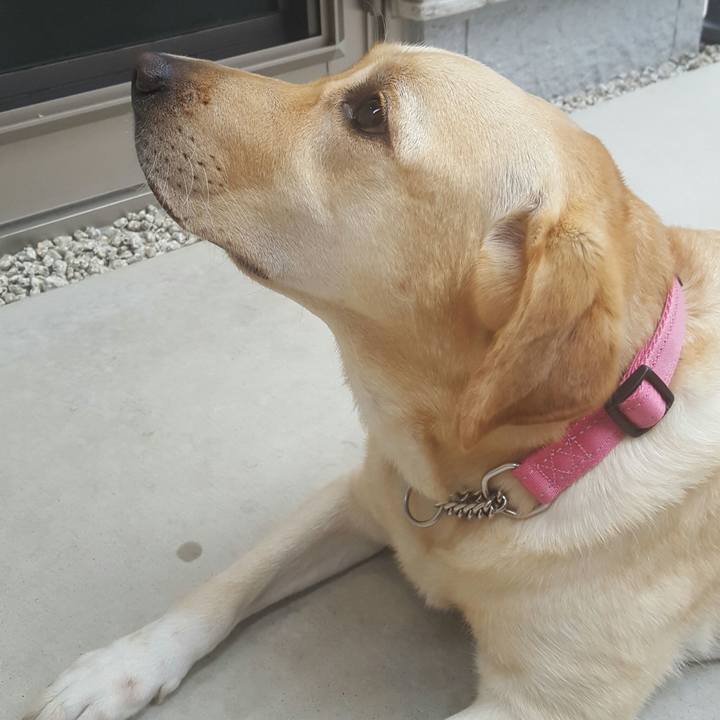 783fa016 7bf3 47c7 a3f6 dc90e0f89c77