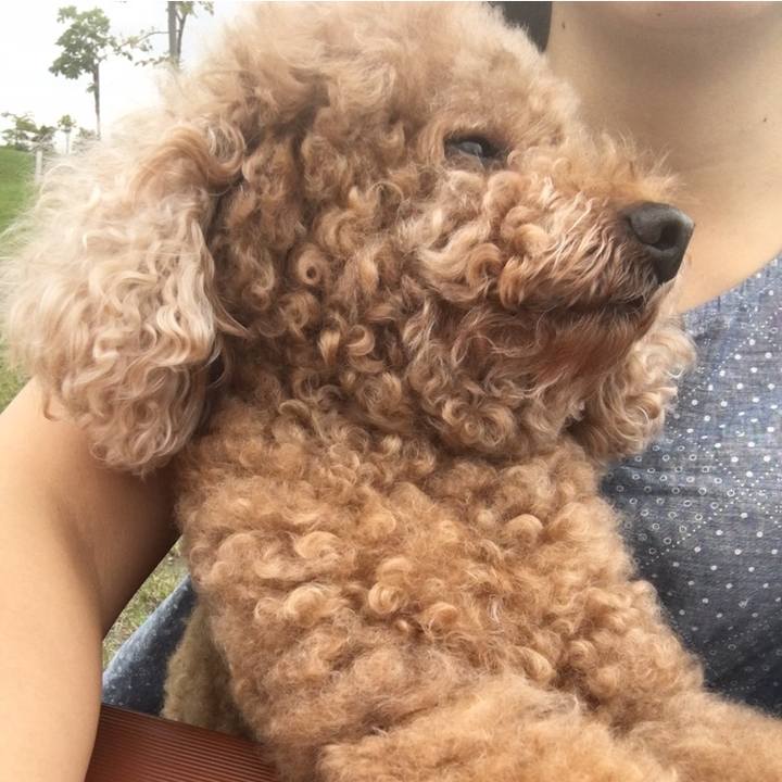 783fe89e 9f54 43ff 98ad 067d183d4874