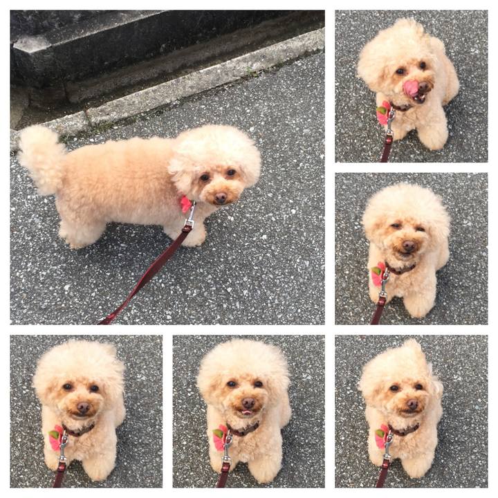 78403028 ccfb 4f7b bc59 4afd27bd36ff