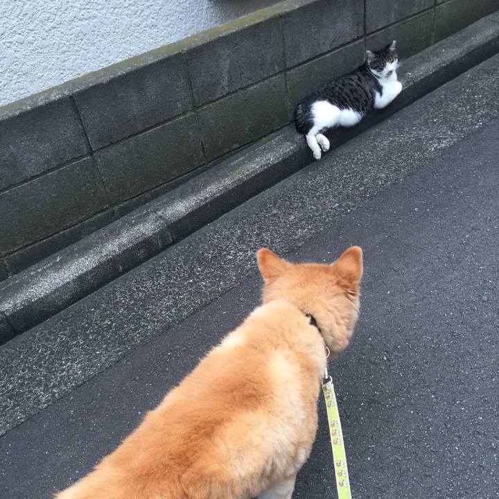 7841326a 9c38 4144 8fd0 93f687ccc9a5