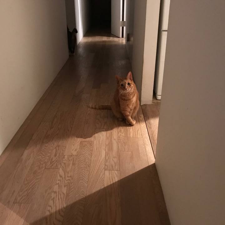 78413343 6301 467d 9485 fc8fc28d7d3e