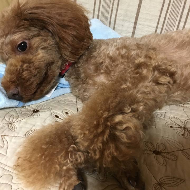 78418032 2670 47bd bb58 796948eba3e8