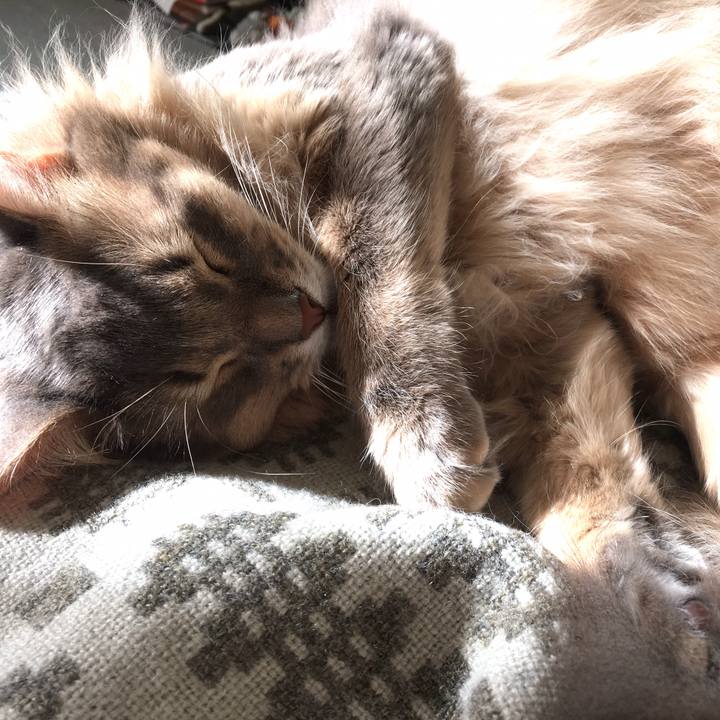 7841a125 1591 4293 806b 242340b1d9a3