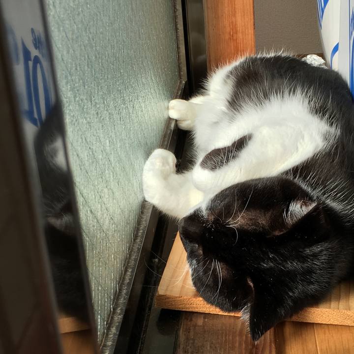 7841ae2c f89a 4630 8533 033bf2efb6c6