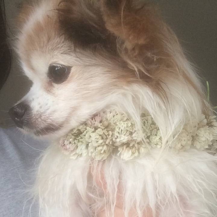 7842c3e8 034c 4a63 8750 d8dddd5dd7fd