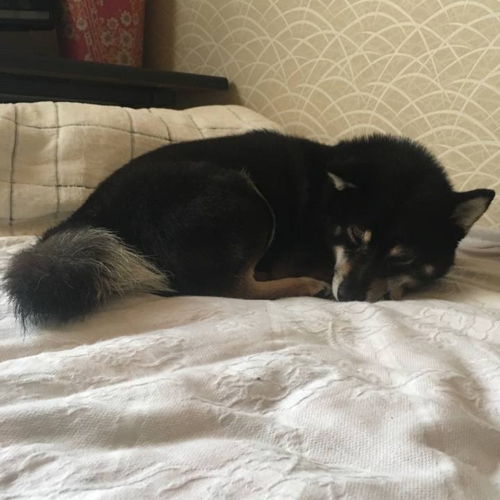 7842f475 1675 47f6 b2ec 487269a90269