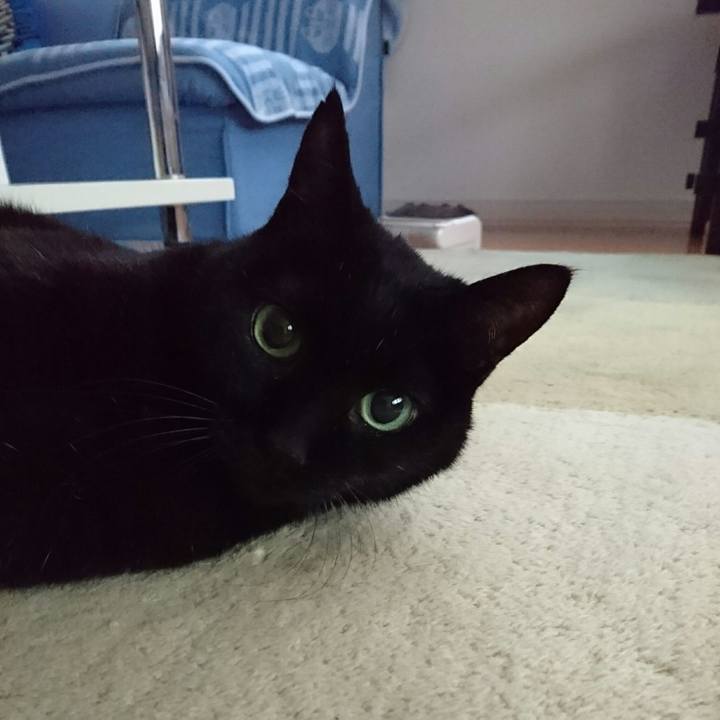 78430775 c277 4420 8bf8 f115bb788b93