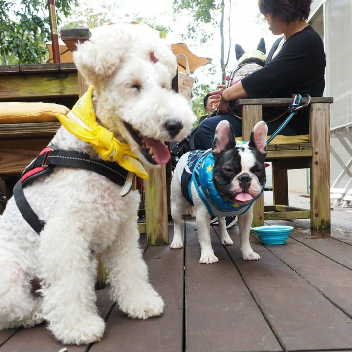 7843785f 1d94 439a b8f1 574c9311f657