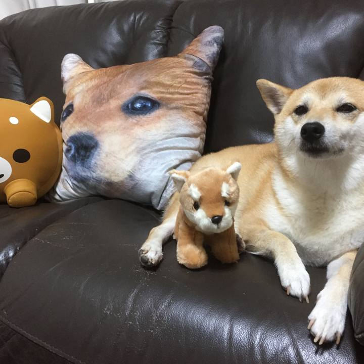 7843990d c74d 4f4f af4f 168f3689b640