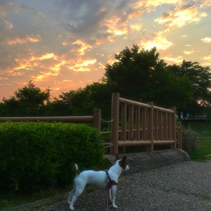 78439e9b 61c8 44d4 8c2b e4e0fdb863e3