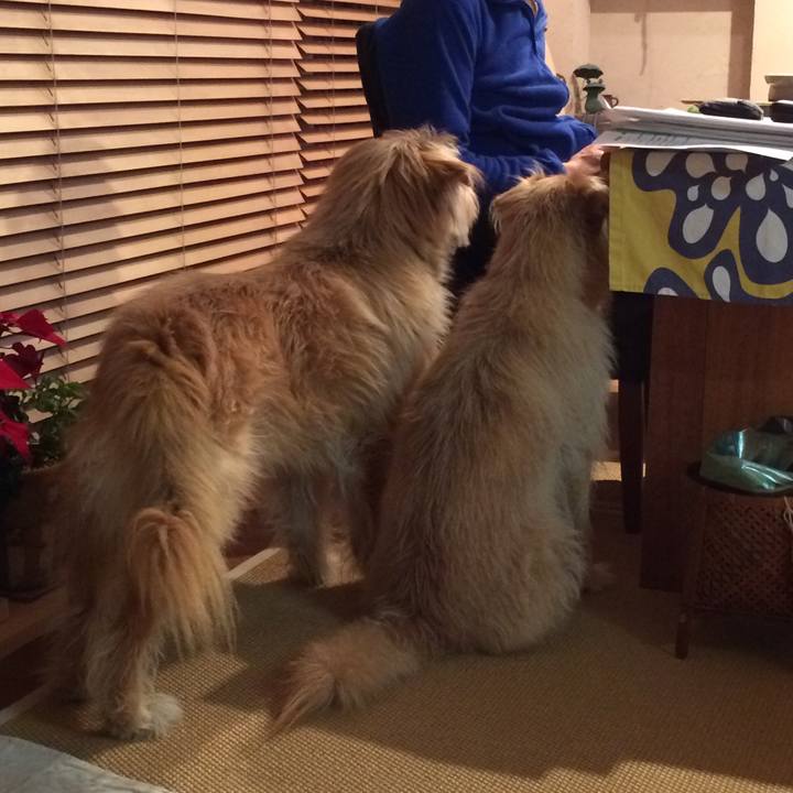 7843b0dc c932 47b2 85e4 c4adc0bf126b