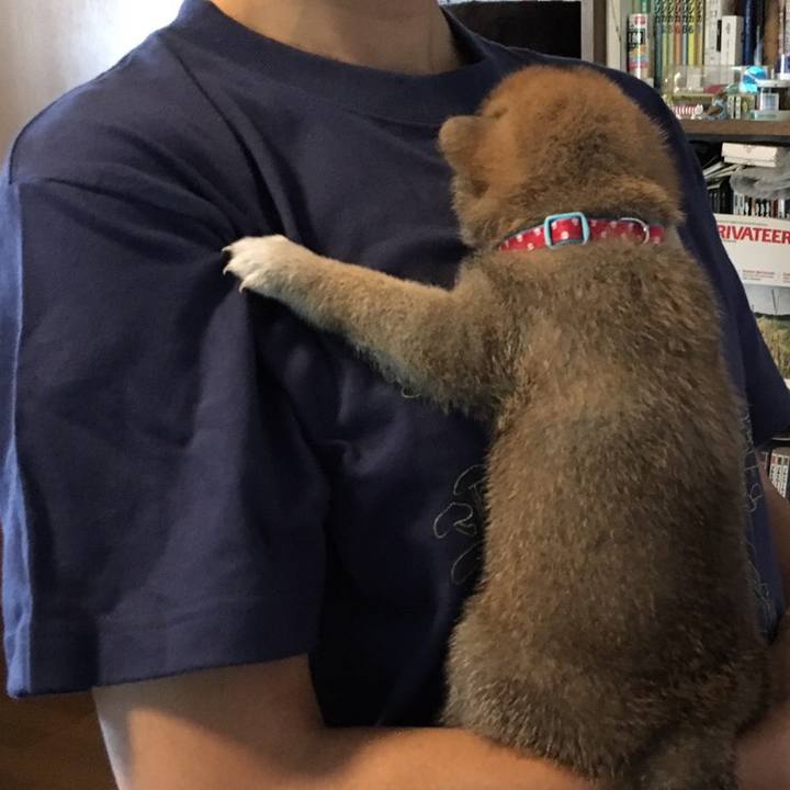 7843cd29 8d82 4b1d 9cef 54cc98cd7372